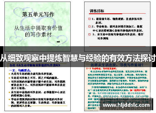 从细致观察中提炼智慧与经验的有效方法探讨