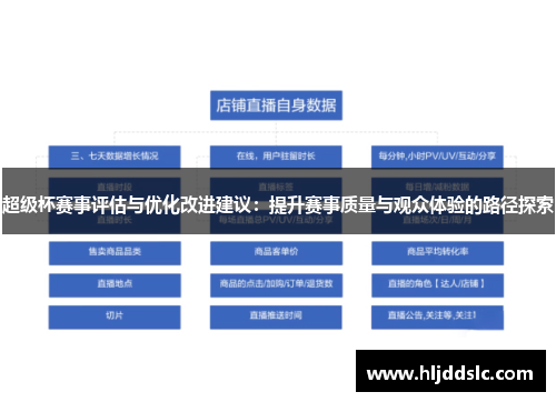 超级杯赛事评估与优化改进建议：提升赛事质量与观众体验的路径探索